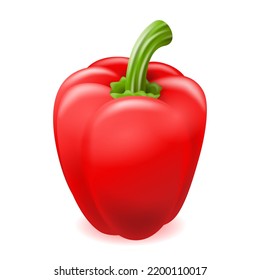 Pimienta de pimentón capsicum o ilustración de pimienta de timbre al estilo 3D