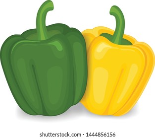 Capsicum Vector Illustration On White Background