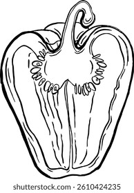 Capsicum. Vegetables. Hand drawn vector isolated sketch.