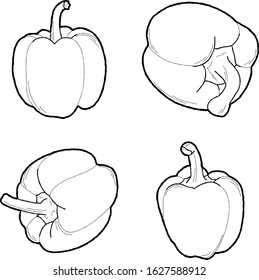 Capsicums Vector Illustration Hand Drawn Vegetable Cartoon Art