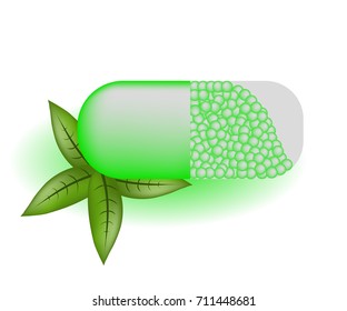 capsule green with leaves, medicine, vector image