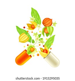 Capsule Halves with Floating Cape Gooseberry as Vitamins and Supplement Vector Illustration