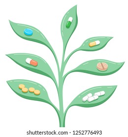Capsules, tablets, pills and dietary supplements of plant natural origin for vegetarians