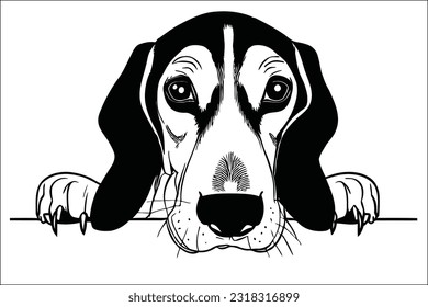 Captivating American Foxhound dog peeking, with its sleek coat and soulful eyes, embodying grace and a love for the great outdoors