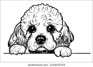 Captivating Cavapoo peeking with soulful eyes, radiating charm and cuteness