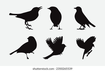 Captivating Collection of Artistic Silhouettes, Robin Set for Diverse Creative Projects