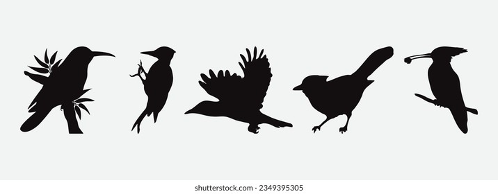 Captivating Collection of Artistic Woodpecker Silhouettes, Diverse Set for Creative Projects