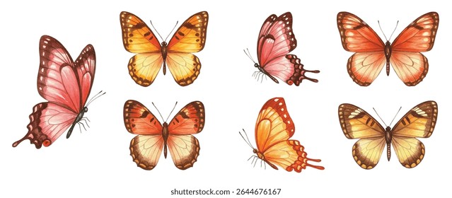 A captivating collection of  butterflies, each uniquely detailed and vibrantly colored. Perfect for enhancing nature-themed designs, decor, or creative projects.