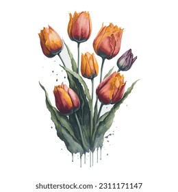 A captivating collection of seven tulip flowers painted in a mesmerizing watercolor style. The artwork features a unique dripping effect, adding a touch of creativity and vibrancy to each vector.