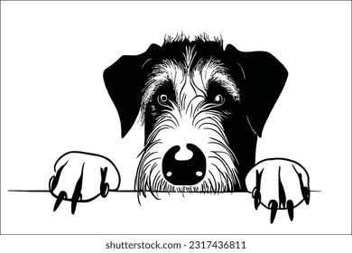 Captivating EPS illustration of an Irish Wolfhound's majestic head, peeking with regal charm. Perfect for showcasing the grace and allure of this noble breed. Ideal for commercial use