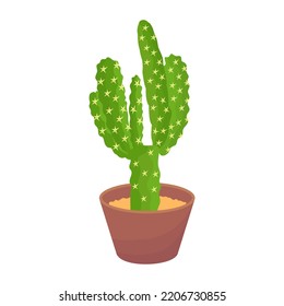 A captivating fat illustration of cactus 