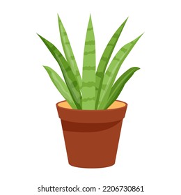 A captivating fat illustration of cactus 