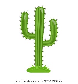 A captivating fat illustration of cactus 