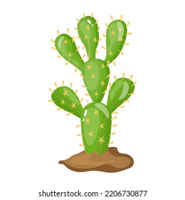 A captivating fat illustration of cactus 
