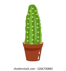 A captivating fat illustration of cactus 
