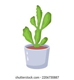 A captivating fat illustration of cactus 