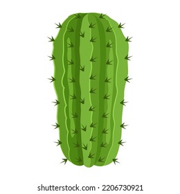 A captivating fat illustration of cactus 