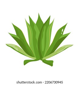 A captivating fat illustration of cactus 