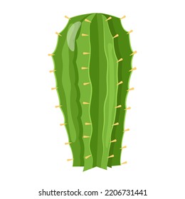 A captivating fat illustration of cactus