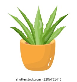 A captivating fat illustration of cactus