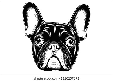 Captivating French Bulldog head in EPS format. Detailed, high-quality design for commercial projects.
