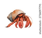 Captivating hermit crab vector illustration, a perfect marine life graphic for educational content, summer promotions, or nature designs.