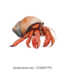 Captivating hermit crab vector illustration, a perfect marine life graphic for educational content, summer promotions, or nature designs.