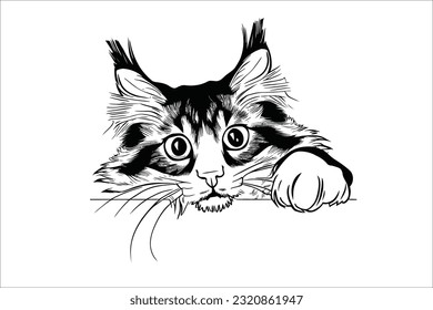 Captivating image of a cute Oriental Longhair cat with a playful peek, guaranteed to enhance your designs. Ideal for commercial use, projects, and creative endeavors