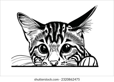 Captivating image of a cute Savannah cat with a playful peek, guaranteed to enhance your designs. Ideal for commercial use, projects, and creative endeavors.