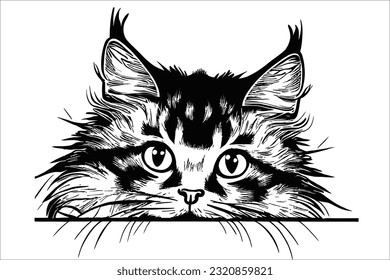 Captivating image of a cute Selkirk Rex cat playfully peeking, guaranteed to enhance your designs. Ideal for commercial use, projects, and creative endeavors.