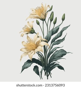 A captivating representation of the Goldenrayed lily, this watercolor artwork exudes elegance and beauty. The delicate brushstrokes and vivid colors bring to life the intricate petals and graceful