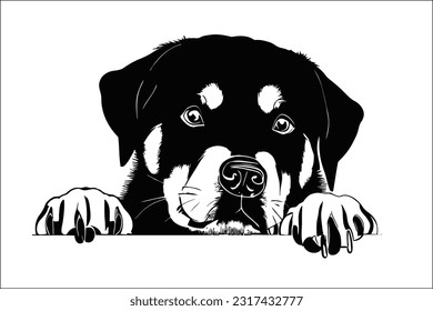 Captivating Rottweiler dog head, peeking with intensity. A perfect EPS file for your creative projects. Showcase strength and loyalty with this stunning design. Ideal for commercial use