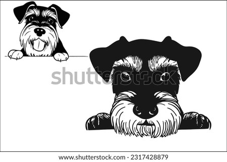 Captivating Schnauzer: Discover the essence of this breed with a charismatic Schnauzer dog peeking, showcasing its expressive eyes and distinctive beard. Perfect for your creative projects. EPS file 