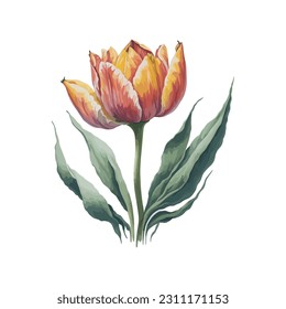 A captivating set of hand-painted tulips in vibrant watercolor. These vector illustrations feature a single tulip in various colors, adding a touch of elegance and beauty to your designs.