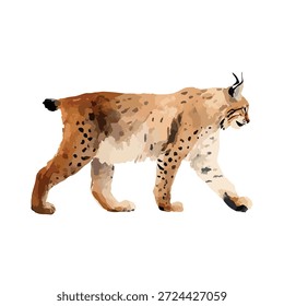 Cautivadora ilustración estilizada de lince en una pose andante, ideal para la conservación de la vida silvestre, contenido educativo o proyectos de Diseño gráfico modernos.
