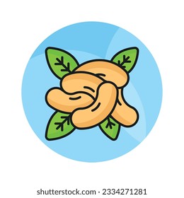 Un cautivador vector de cajú en estilo moderno, listo para usar icono premium