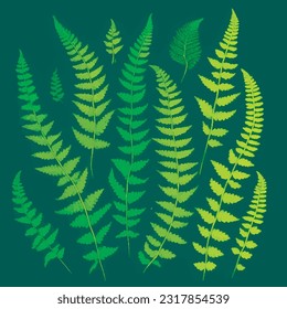 Captivating vector illustration of a fern, showcasing its intricate details and graceful form. Perfect for various design projects, adding a touch of natural beauty to any visual composition.