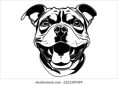 Capture the captivating essence of a Staffordshire Bull Terrier's head. This dog breed exhibits strength and loyalty through its expressive eyes and muscular features