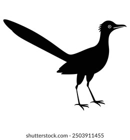 Capture the essence of speed and agility with this sleek silhouette of a roadrunner bird standing tall. Perfect for nature-themed designs or adding a touch of elegance to your projects.