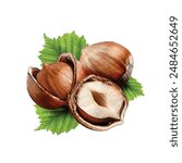 Capture the essence of wholesome nutrition and childhood curiosity with our "Three Walnuts, Hazelnut Nuts, Common Hazel Fruit, Child, Food, Dried Fruit" image. This delightful photo features a charmin