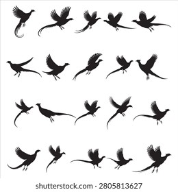 Capture the essence of the wild with this flying pheasant bird silhouette. Isolated and highly detailed, it’s the perfect design element for wildlife conservation graphics, nature-themed branding, outdoor adventure logos, and hunting club promotional materials.