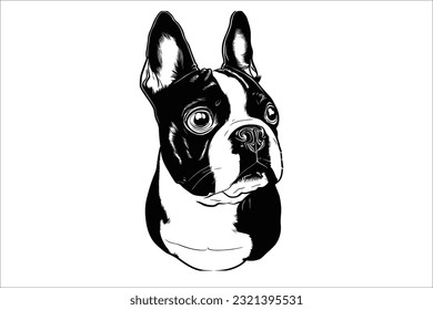 Capture the expressive charm of a Boston Terrier's captivating head. This stunning dog breed exudes loyalty and playfulness. Ideal for diverse creative projects. Achieve top search ranking with this h