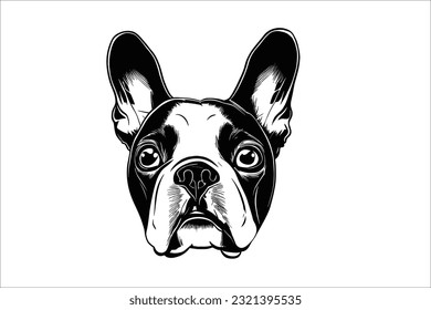 Capture the expressive charm of a Boston Terrier's captivating head. This stunning dog breed exudes loyalty and playfulness. Ideal for diverse creative projects. Achieve top search ranking with this h