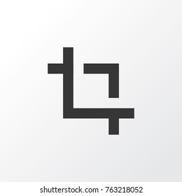 Capture icon symbol. Premium quality isolated center focus element in trendy style.