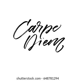 Capture the moment in latin. Carpe diem card. Ink illustration. Modern brush calligraphy. Isolated on white background.