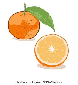 Capture zesty freshness with this orange fruit vector illustration! Bursting with vibrant hues, it adds a lively charm to your creative projects