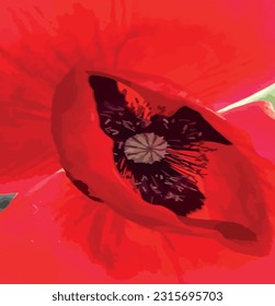 Capturing the Beauty Up Close.The Poppy Flower