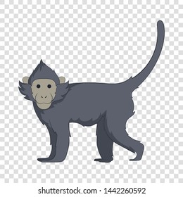 Capuchin icon. Cartoon illustration of capuchin vector icon for web