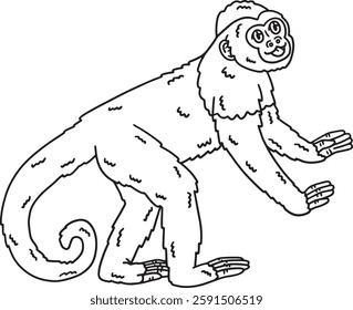 Capuchin Monkey Animal Isolated Coloring Page 