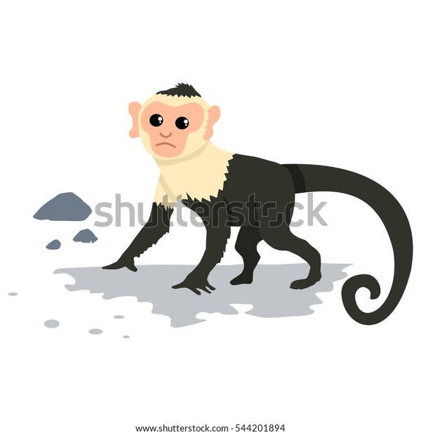 Capuchin monkey. Cartoon vector illustration\
of isolated on white\
background.